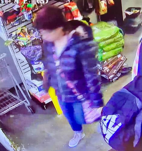 Lexington Pet Store footage 3-19-22.jpg