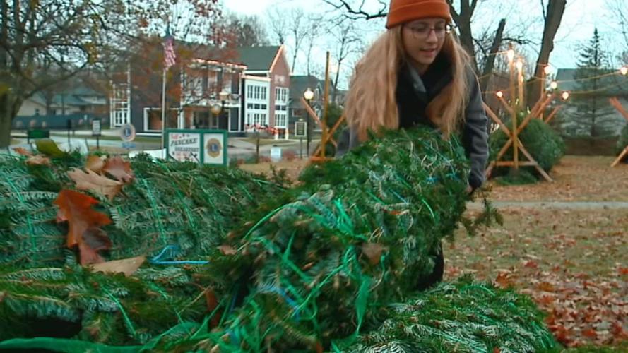 GIRLS SCOUT CHRISTMAS TREES STOLEN 12-2-19 (3).jpg