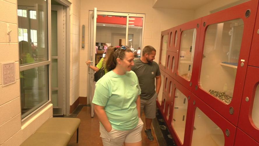 METRO ANIMAL SERVICES FREE PET ADOPTIONS.jpeg