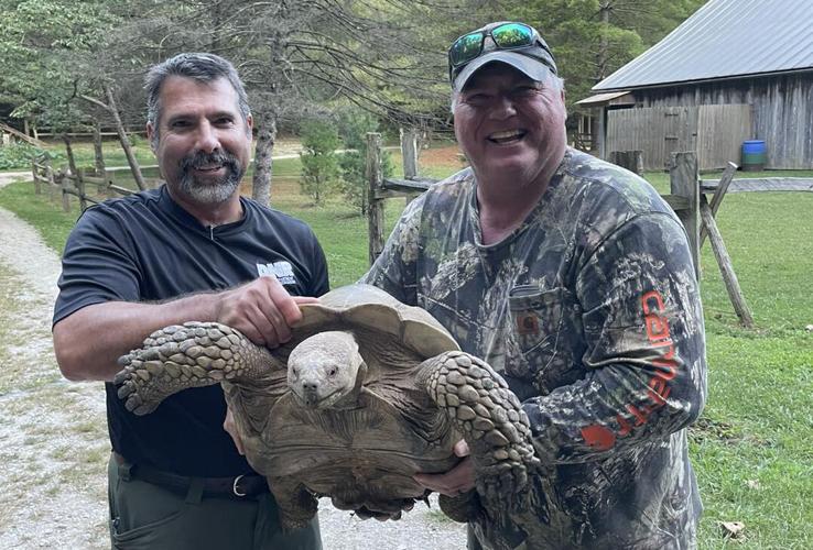 Tank the Tortoise recovered