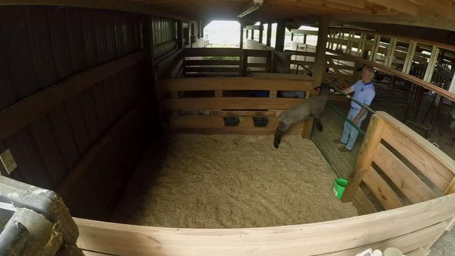 Vine Grove family stresses importance of this year's state fair