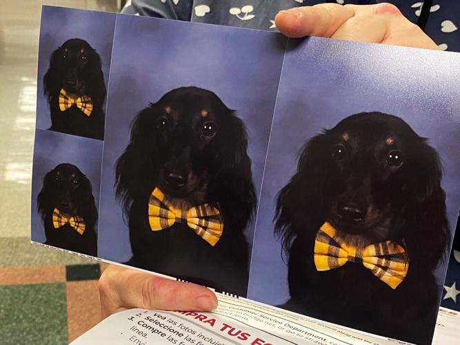 Trapper's school picture.jfif