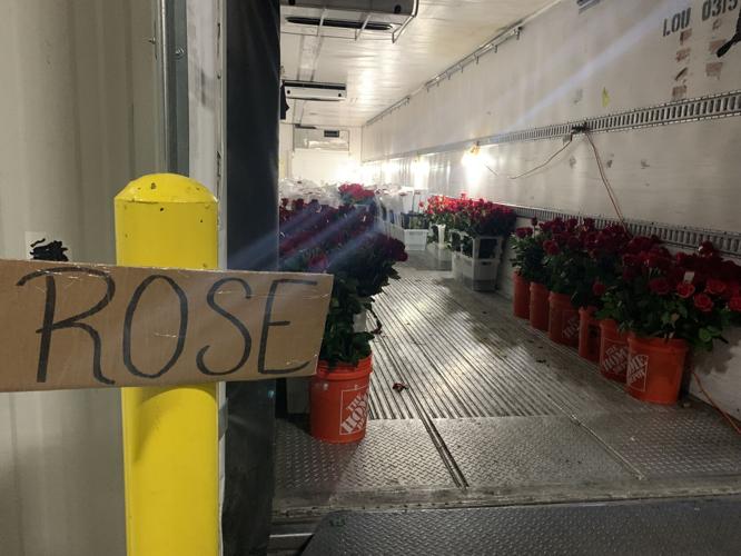 Derby 149 roses 5-3-23