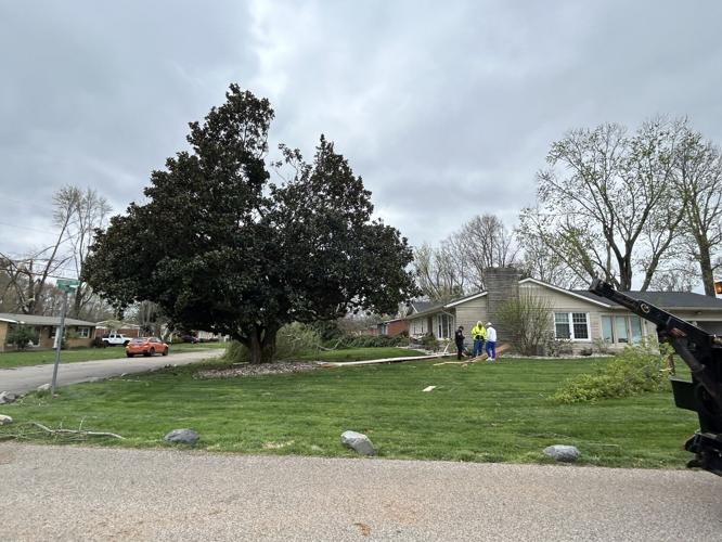 Prospect tornado damage 04.04.24
