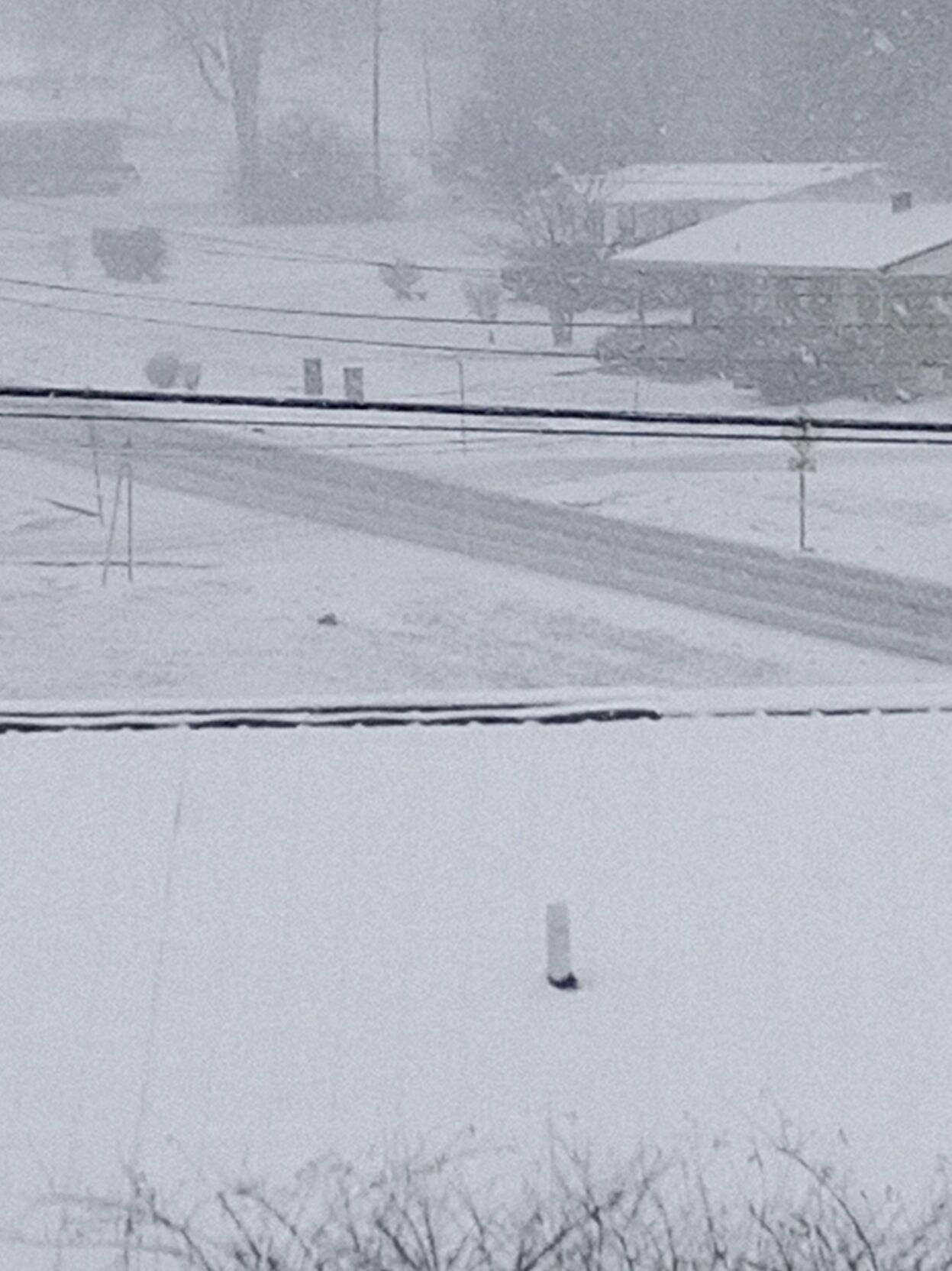 SNOW - Burkesville St. Columbia Kentucky- Heather Johnson.jpg