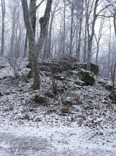Snow in Nelson County-KY-1-27-21.jpg
