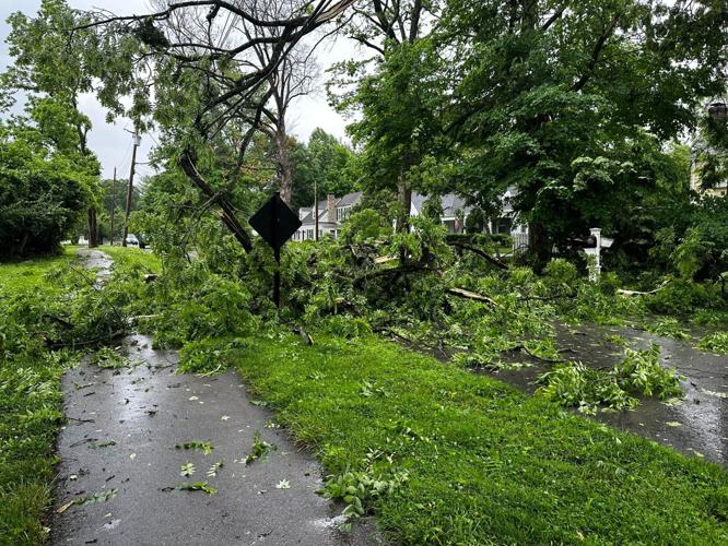 Trees down in the roadway in east Louisville.jpg