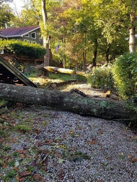 tornado damage in Pine Hills Lake Pekin Indiana area of Pine Tree Trail