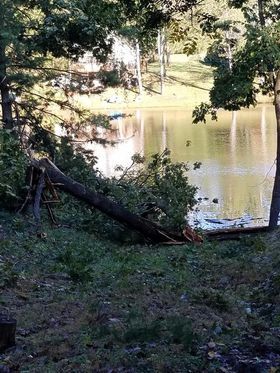 tornado damage in Pine Hills Lake Pekin Indiana area of Pine Tree Trail
