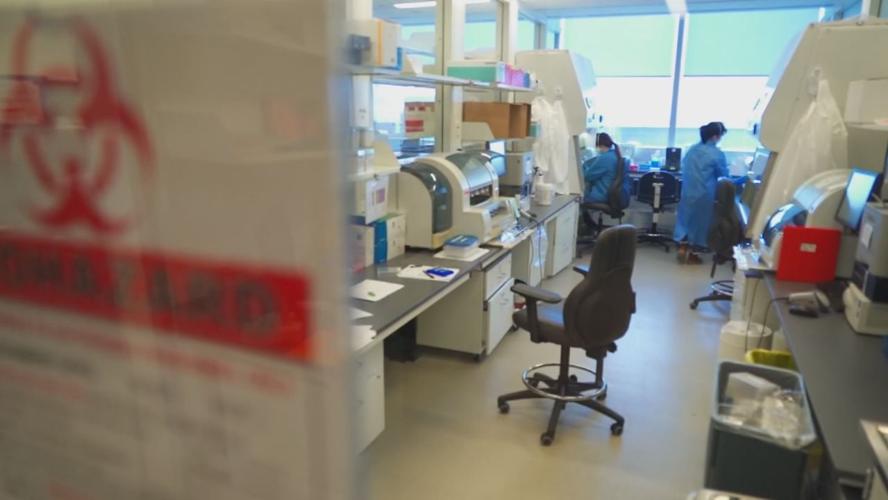 coronavirus doctors monitoring