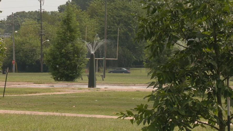 LOUISVILLE PARKS FOUNDATION.jpeg