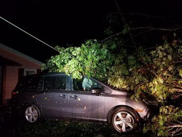tornado damage in Pine Hills Lake Pekin Indiana area of Pine Tree Trail