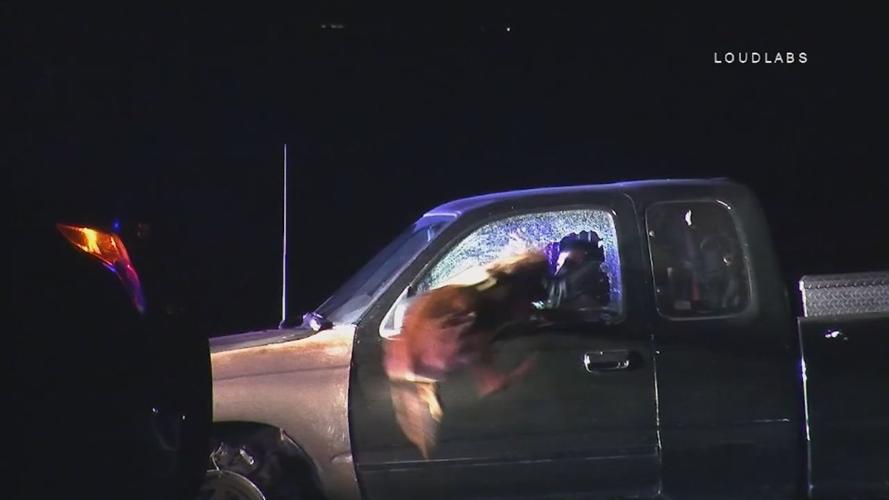 VIDEO | California K-9 jumps through shattered car window, takes down assault suspect