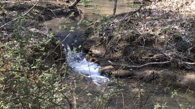 Bernheim stream