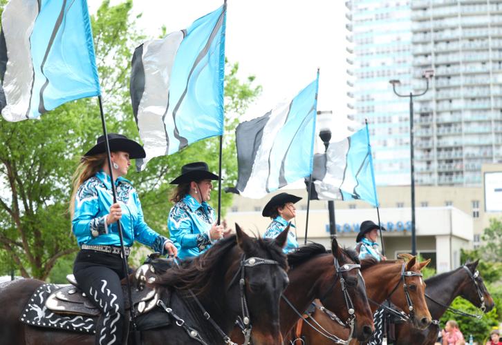 Horses walk in the parade.JPG