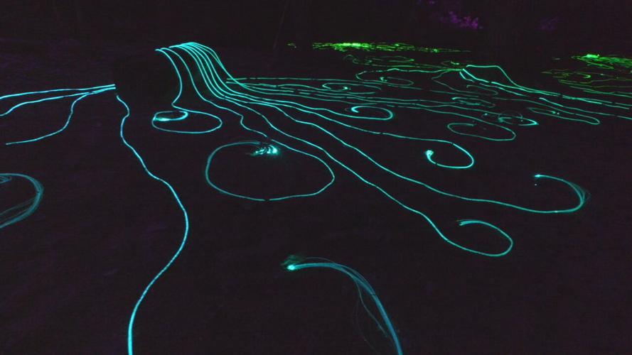 Light Fall at the Falls (4).jpeg