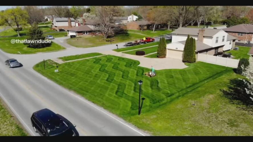 that lawn dude 1