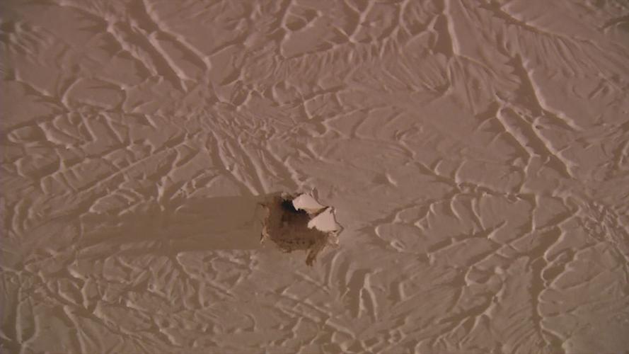 bullet in home 1
