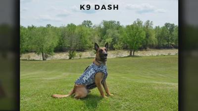 Shepherdsville K-9 Dash