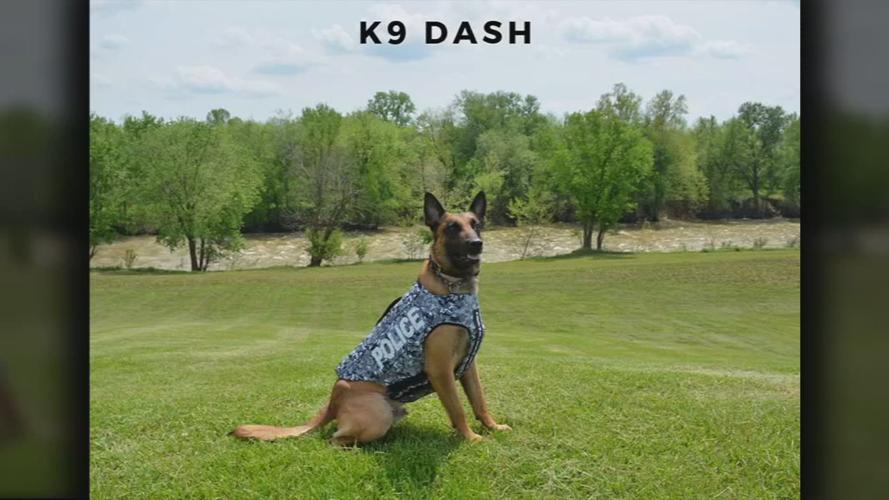 Shepherdsville K-9 Dash