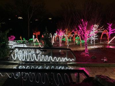Gardens Aglimmer lights up Waterfront Botanical Gardens for the holidays