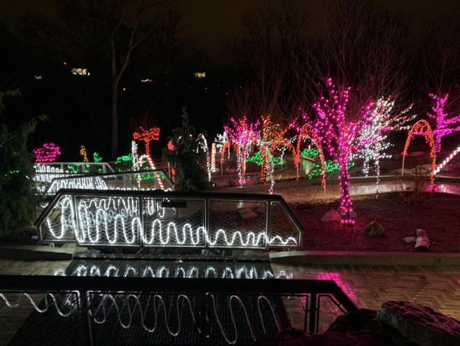 Gardens Aglimmer lights up Waterfront Botanical Gardens for the holidays