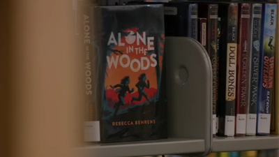 Library books on shelf