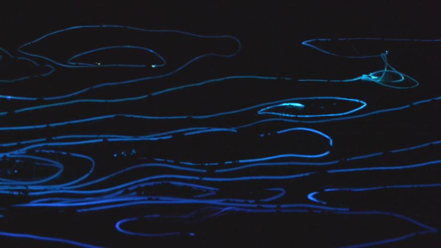 Light Fall at the Falls (2).jpeg