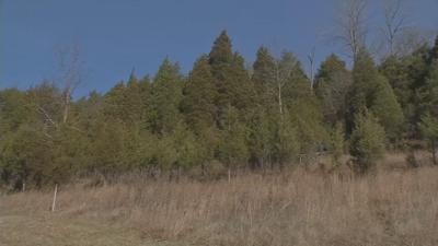 Bernheim Arboretum and Research Forest in Bullitt County, Ky.