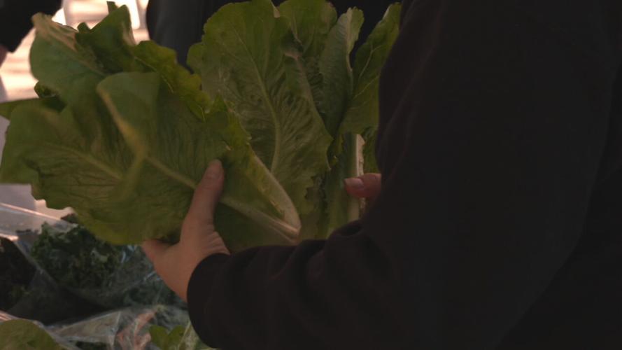 St. Matthews Farmers Market opens for 15th season 5/8/2021