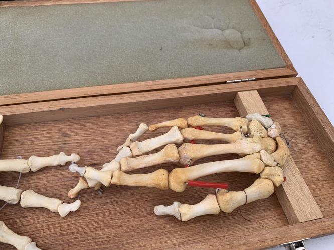 Preparations for the 2019 Louisville Zombie Walk-19.jpg