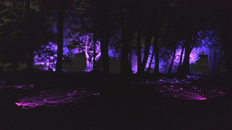 Light Fall at the Falls.jpeg