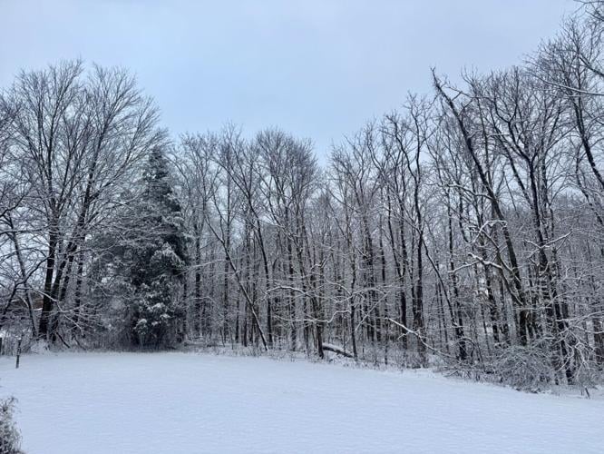 Lanesville snow