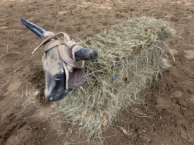 Derby City High School Rodeo 5