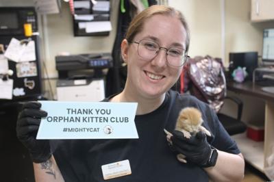 KHS WITH ORPHAN KITTEN CLUB.jpg