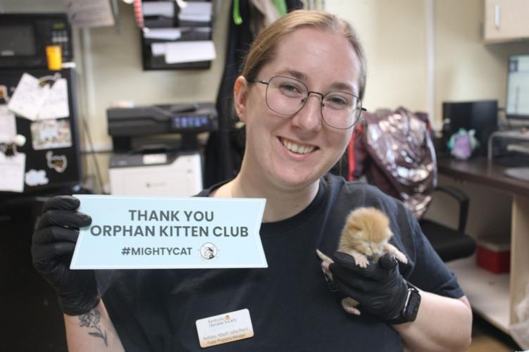 KHS WITH ORPHAN KITTEN CLUB.jpg