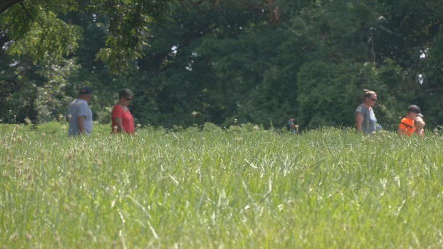 FARMINGTON POLLINATOR PRAIRE