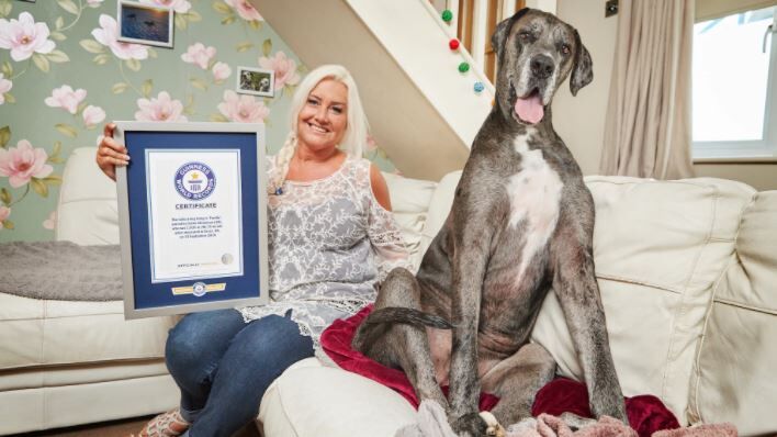 freddy the dog fox news.JPG