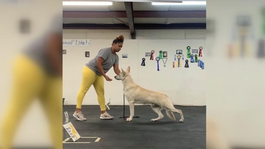 Morgan Barrick animal cruelty (1).jpeg