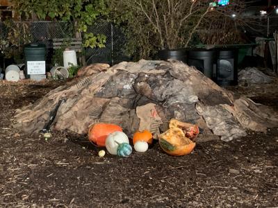 PUMPKIN RECYCLING.jpg