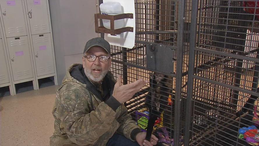 Tim Stark Monkey Cage