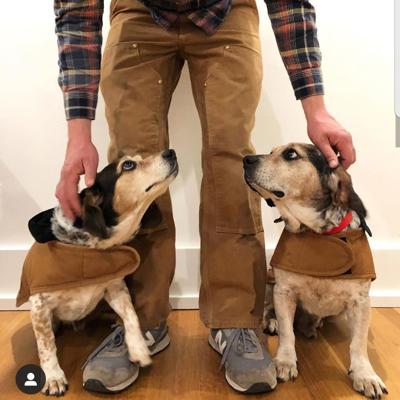 Dean, dog dragged by truck and new adopted brother
