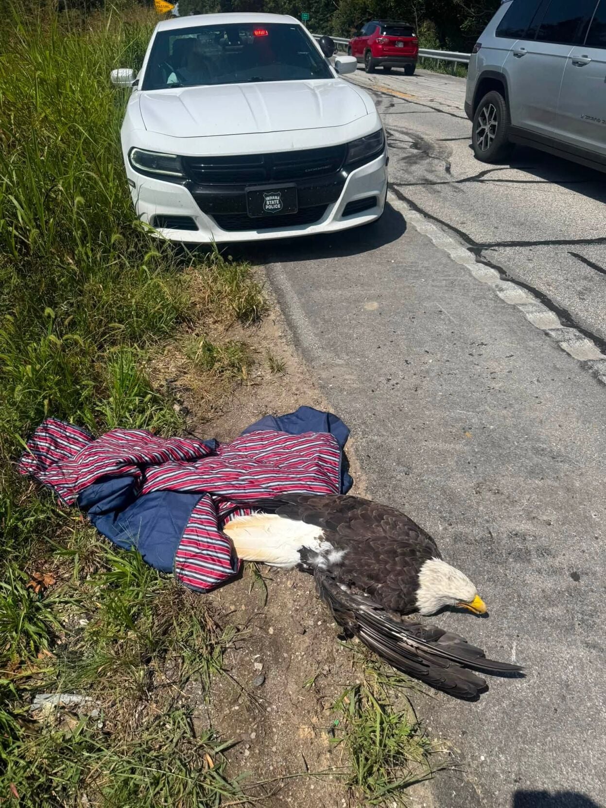 isp eagle 2.jpg