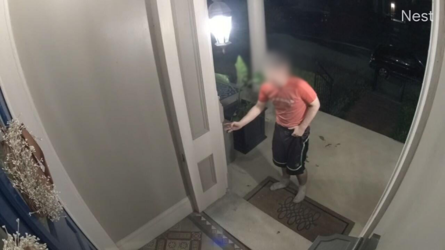 PORCH POOPER RETURNS.jpeg