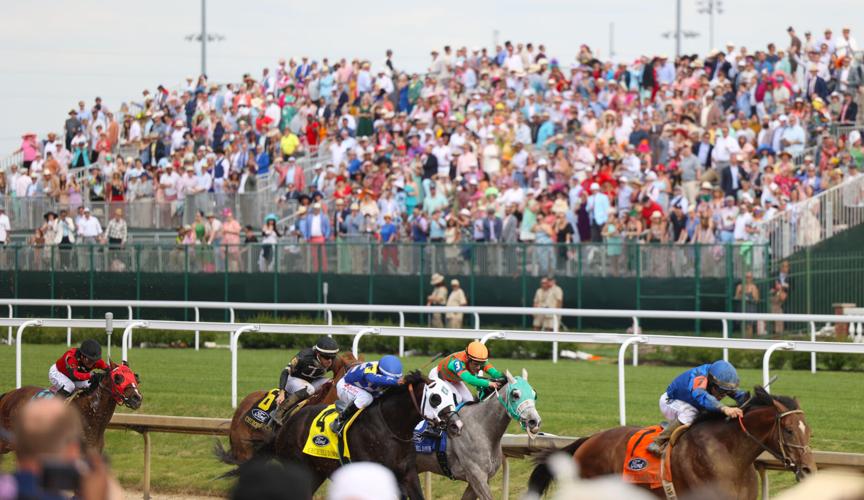 Horses run with infield in background.JPG