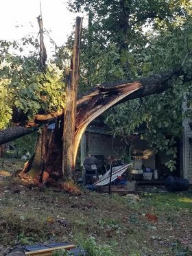 tornado damage in Pine Hills Lake Pekin Indiana area of Pine Tree Trail