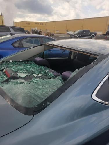 Hail damage near Ghent power plant 3-14-24.jpg