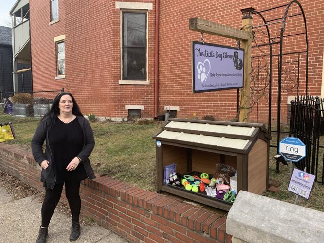 Little Dog Library