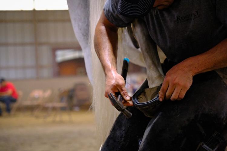 Derby City Classic Horseshoeing competition - 9.14.24