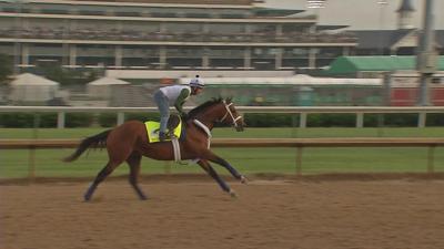 Maximum Security comes out on the winning side in this inquiry.